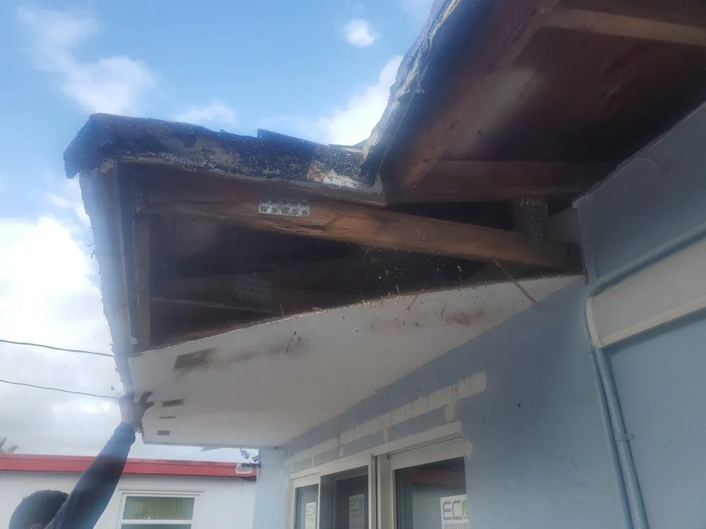 Slide of Palm Roofing