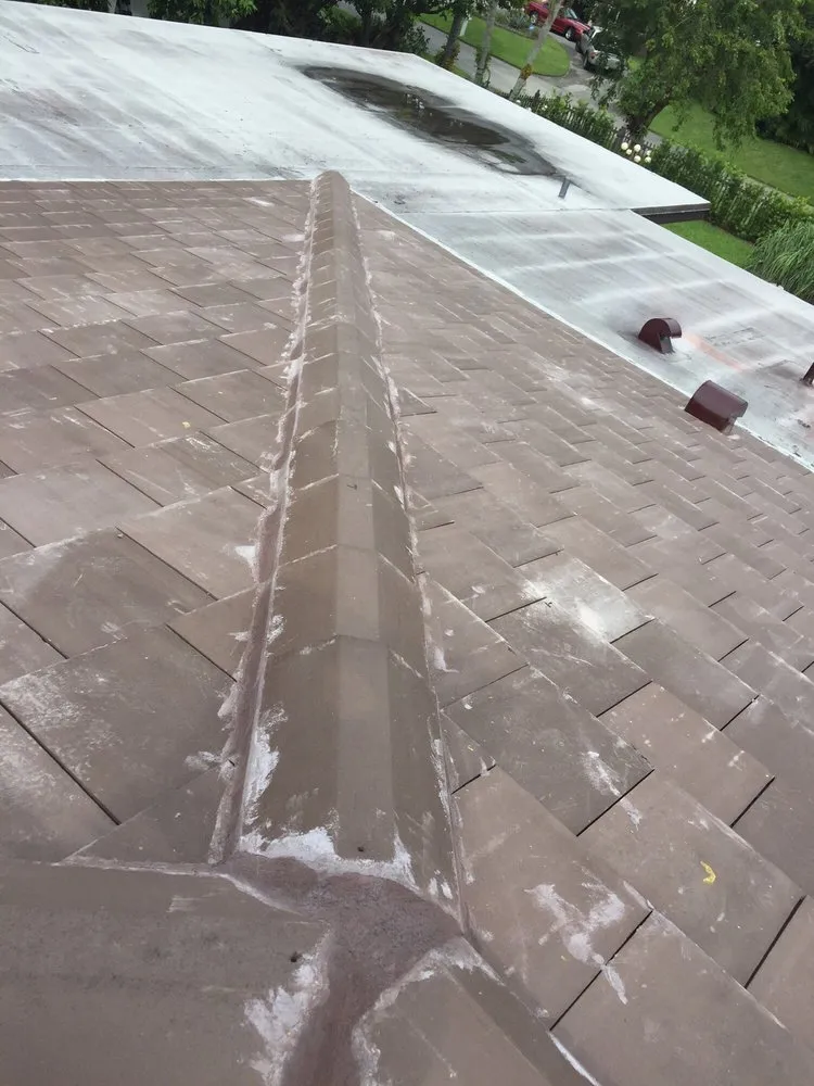 Slide of Palm Roofing