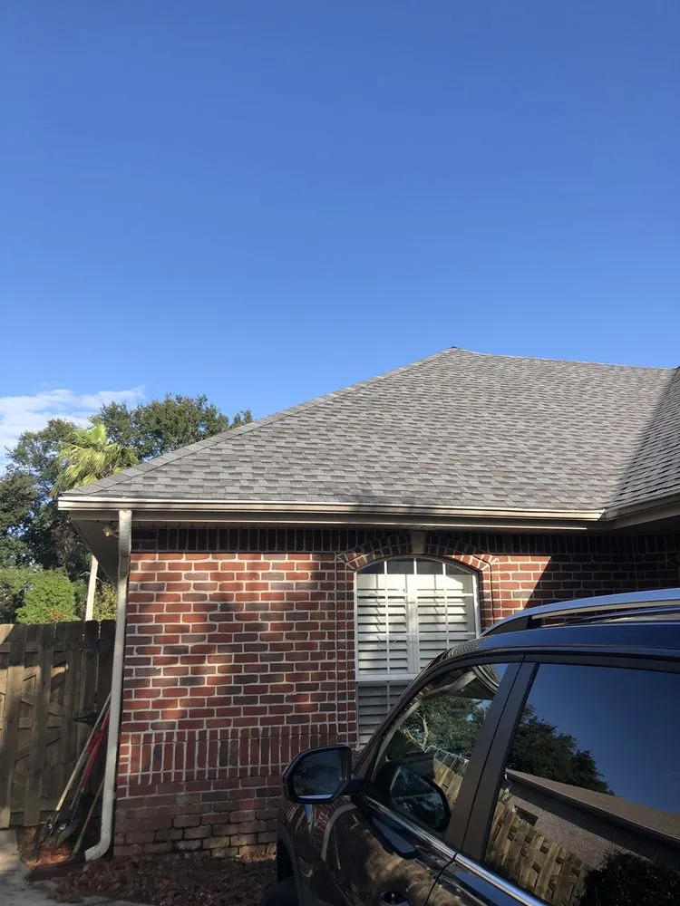 Slide of Palm Tree Roofing