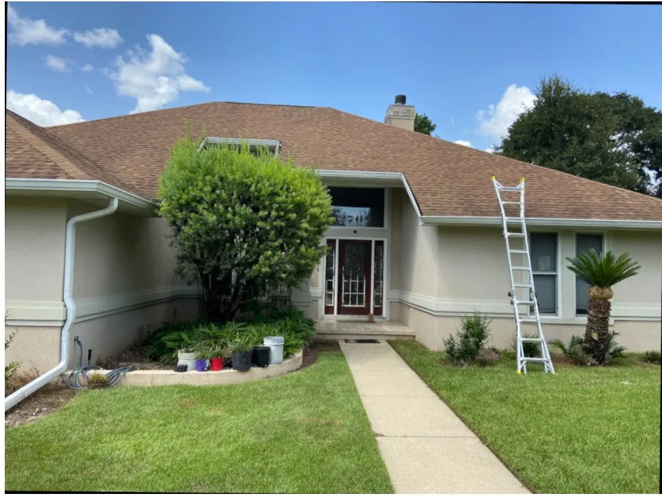 Slide of Palm Tree Roofing