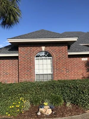 Palm Tree Roofing Logo
