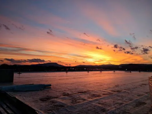 Palmetto Roofers - Roebuck Logo