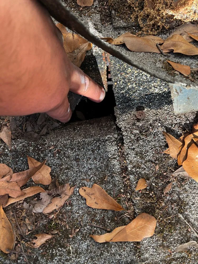 Slide of Palmetto Roofers