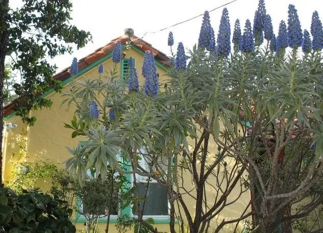 Slide of Palo Alto Roofing