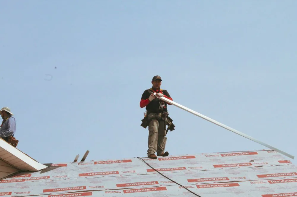 Slide of Panda Exteriors