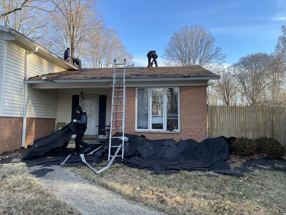 Slide of Panda Exteriors