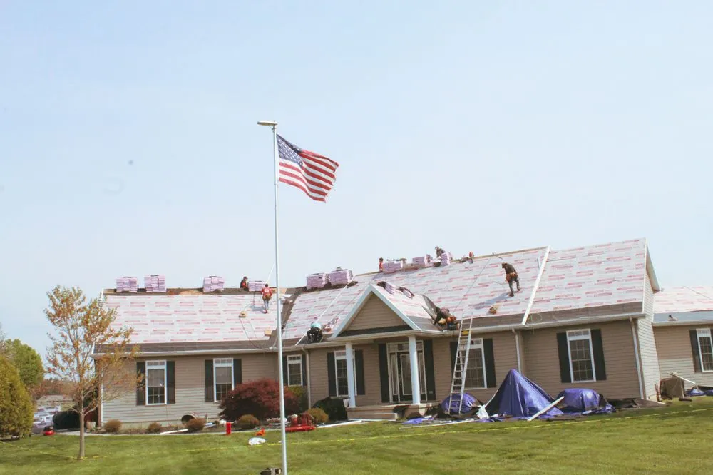 Slide of Panda Exteriors