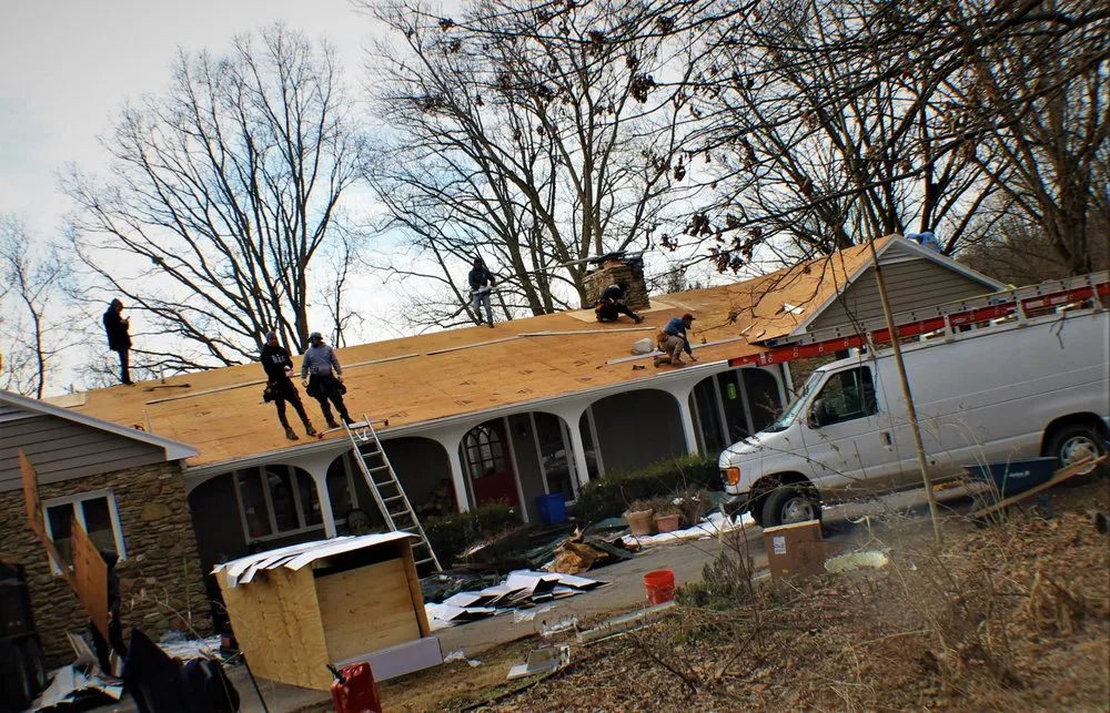 Slide of Panda Exteriors