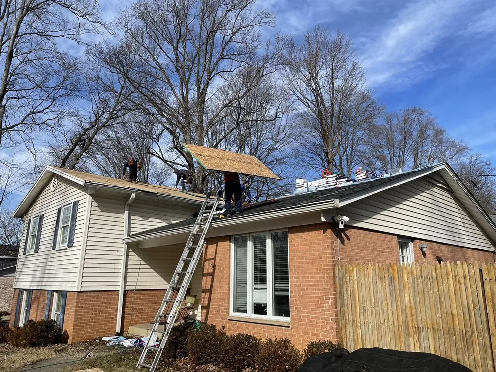 Slide of Panda Exteriors