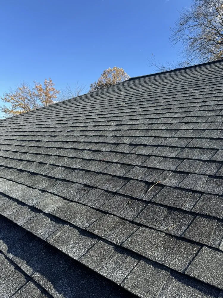 Slide of Panda Exteriors