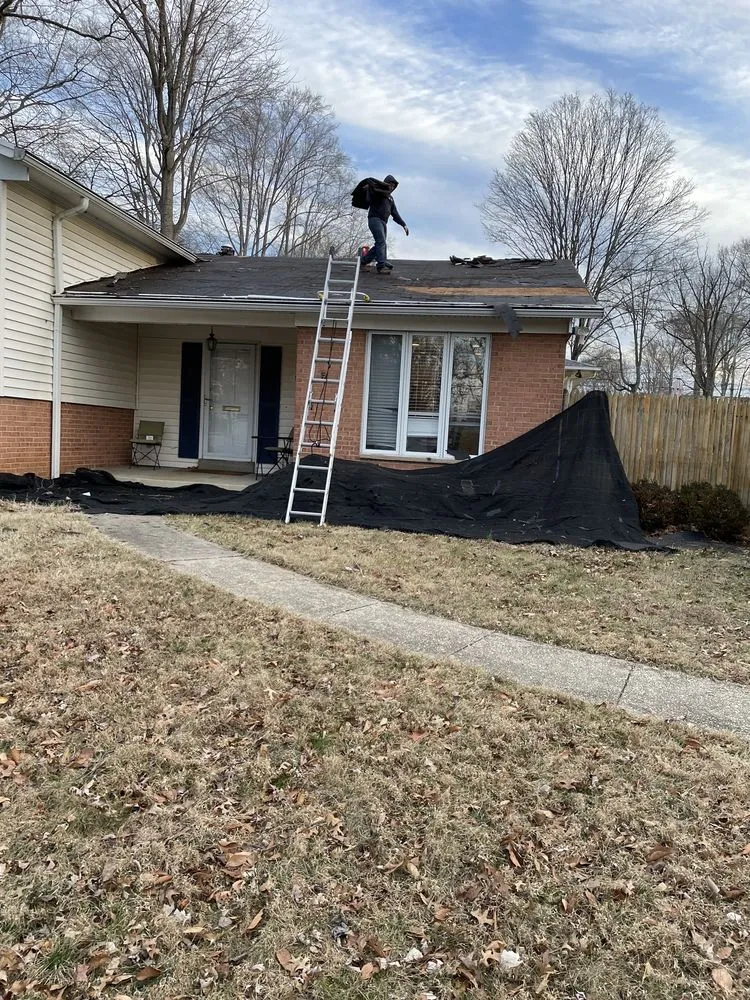 Slide of Panda Exteriors