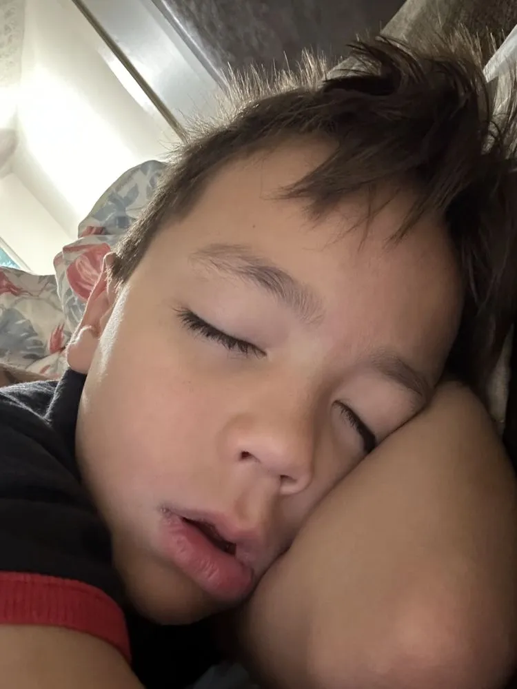 Slide of Panda Property Solutions