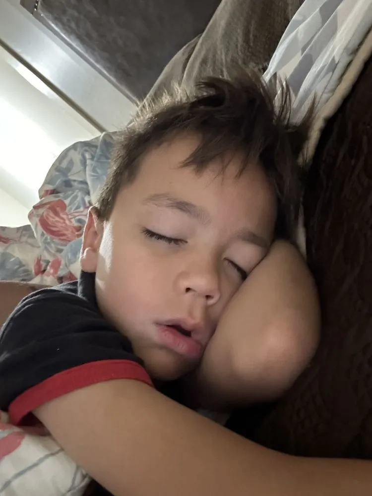 Slide of Panda Property Solutions