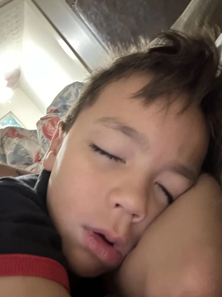 Slide of Panda Property Solutions