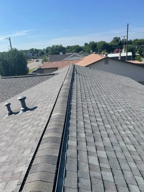 Slide of Pangolin Roofing