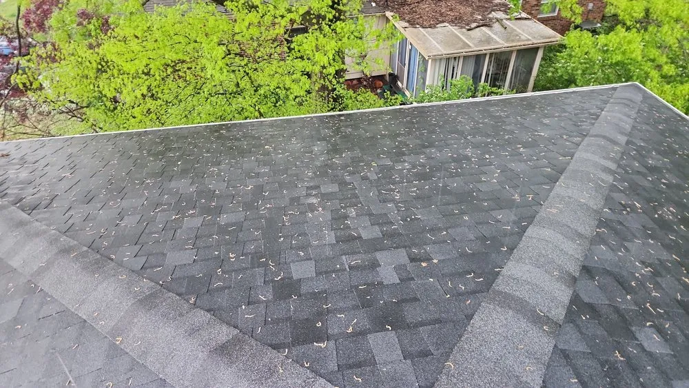 Slide of Panther Roofs