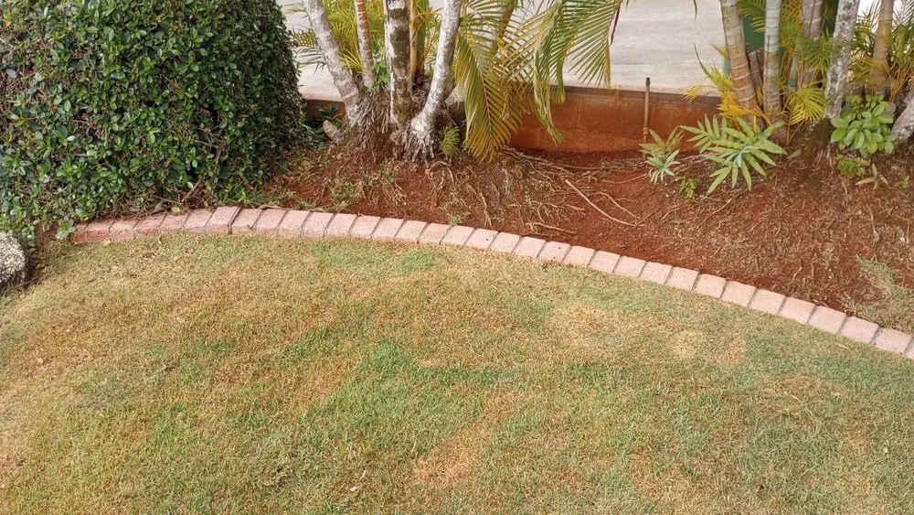 Expert roof installation for residential properties across Mililani, HI - Papaya Powerwashing