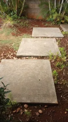 Papaya Powerwashing Logo