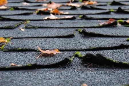 Slide of Paps Constructation Services