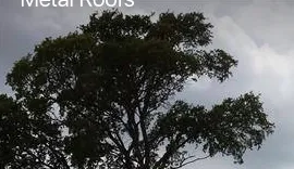 Slide of Paradigm Roofing