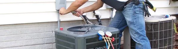 Paradise Green Energy Logo