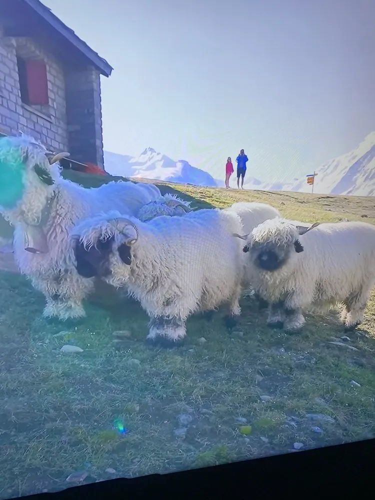 Slide of Paradise Island Services