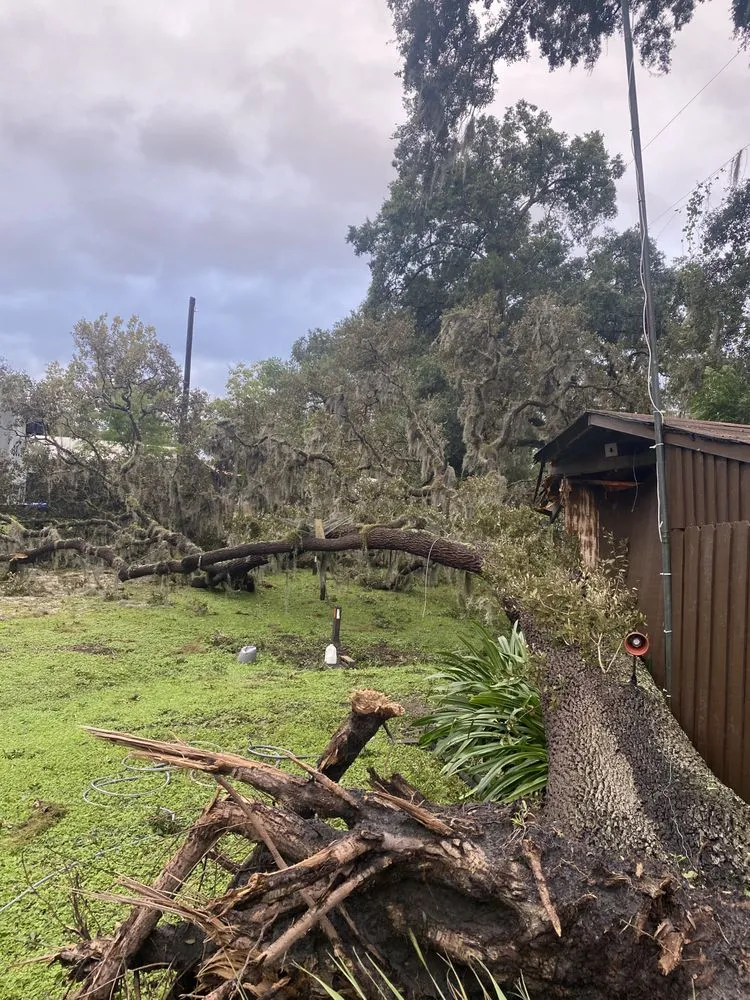 Slide of Paradise Island Services