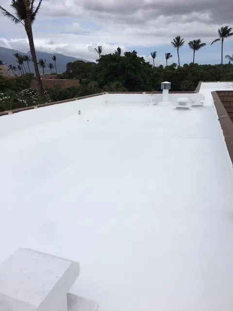 Slide of Paradise Roofing