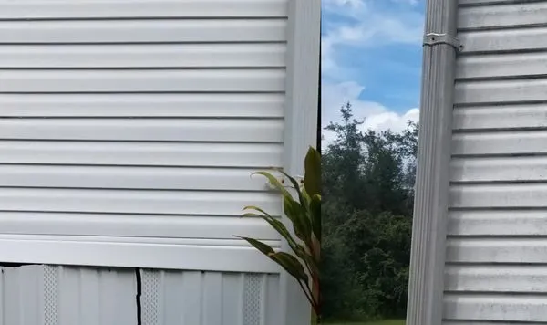 Paradise Soft Wash