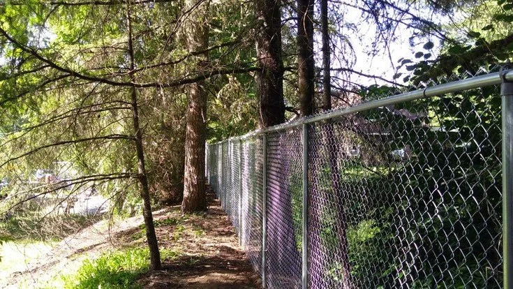 Slide of Paragon Construction