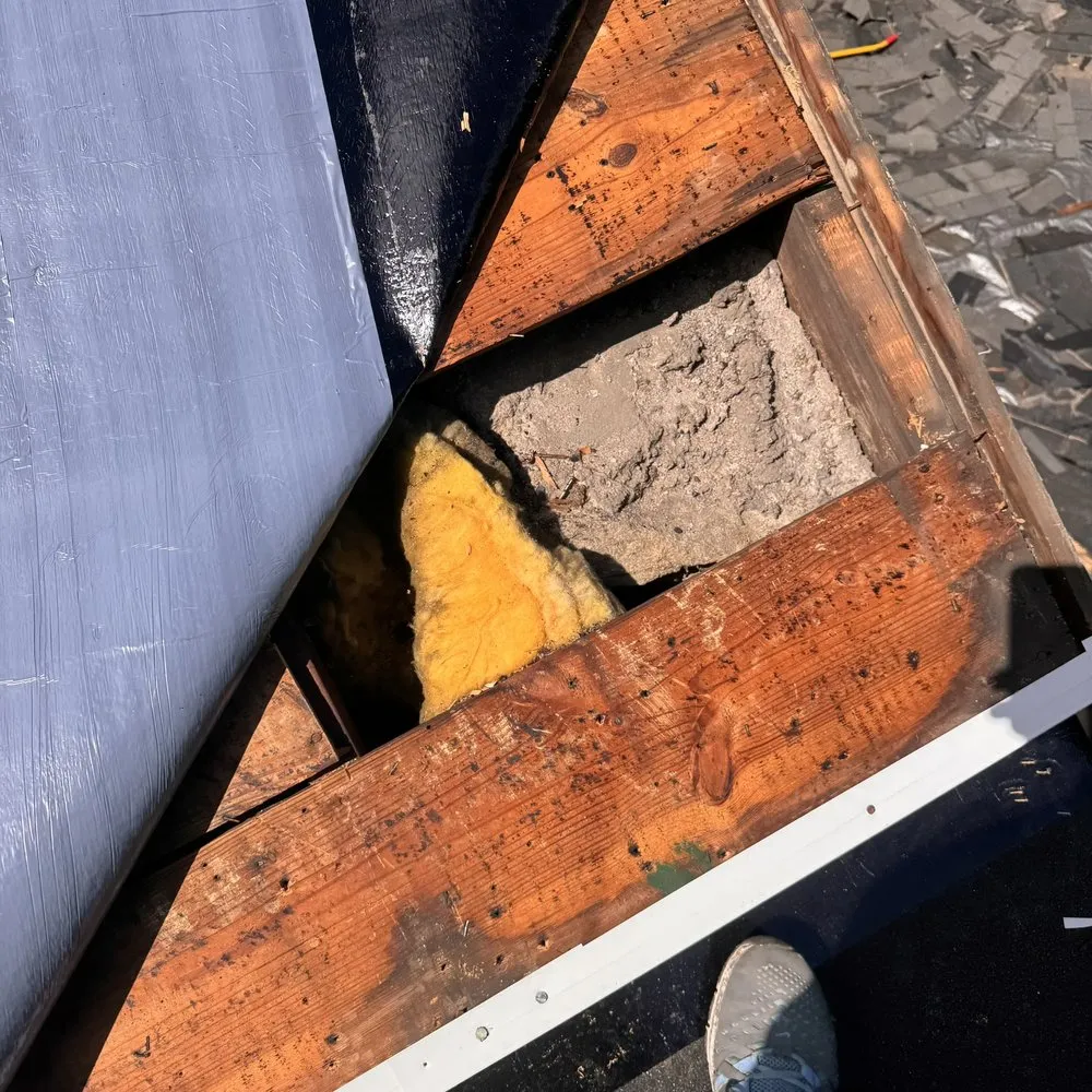 Slide of Paragon Exterior