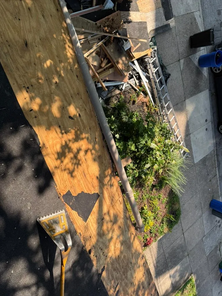 Slide of Paragon Exterior