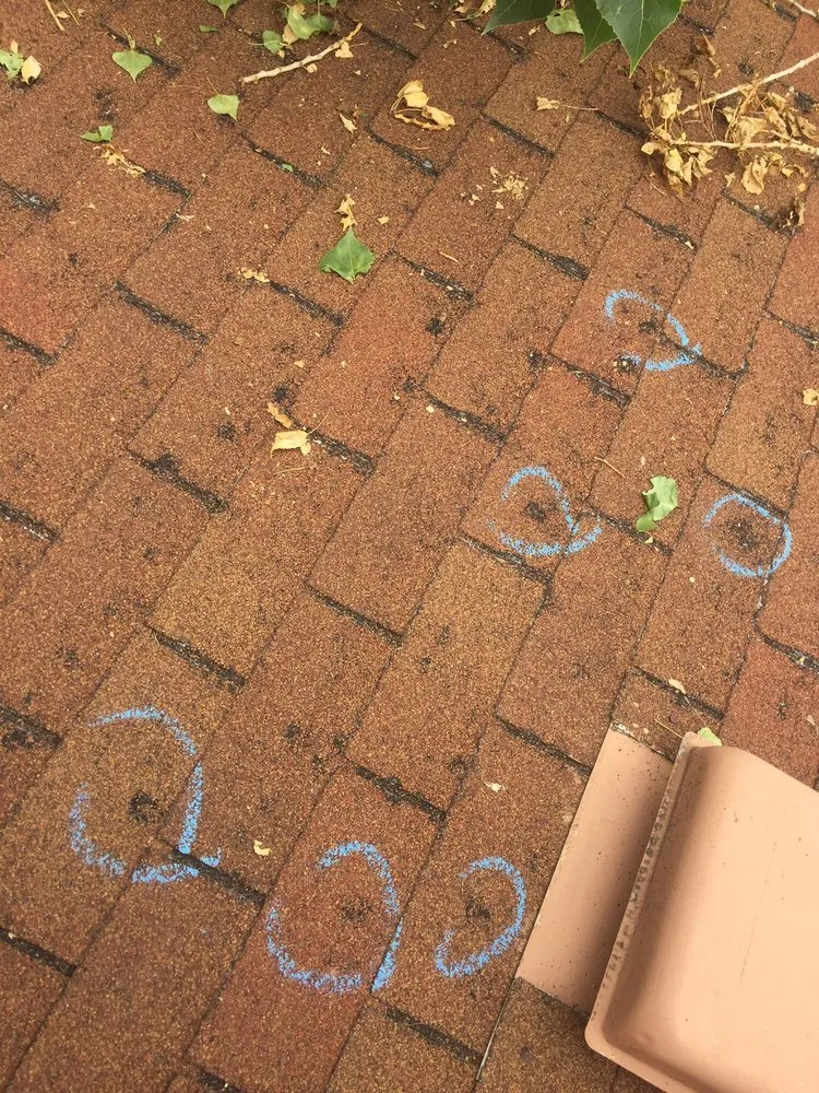 Slide of Paragon Pro Construction