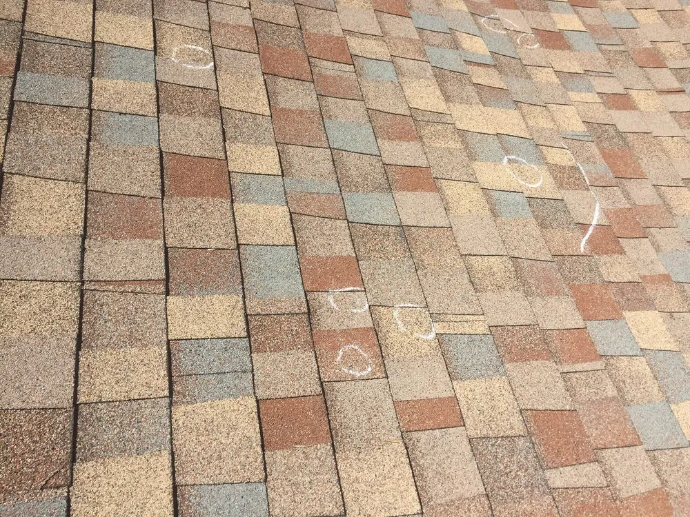 Slide of Paragon Pro Construction