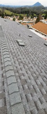 Parallel Construction