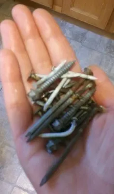 Pardini Construction