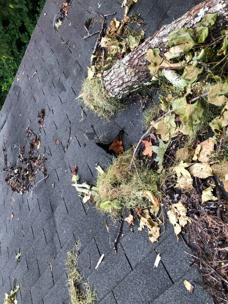 Slide of Parker Roofing Options - PRO Roofing