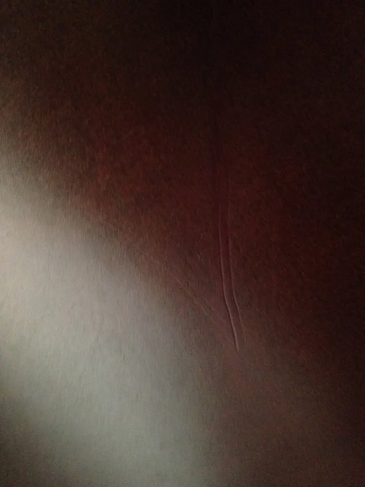 Slide of Parkview Restoration