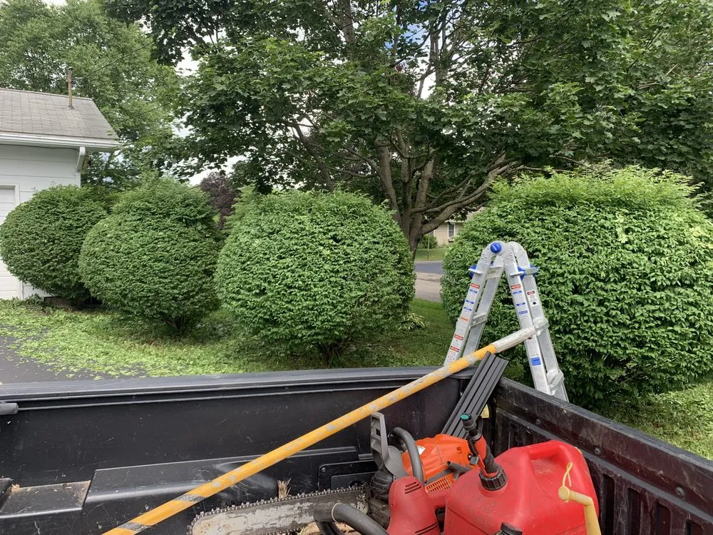 Slide of Pasternak Outdoors