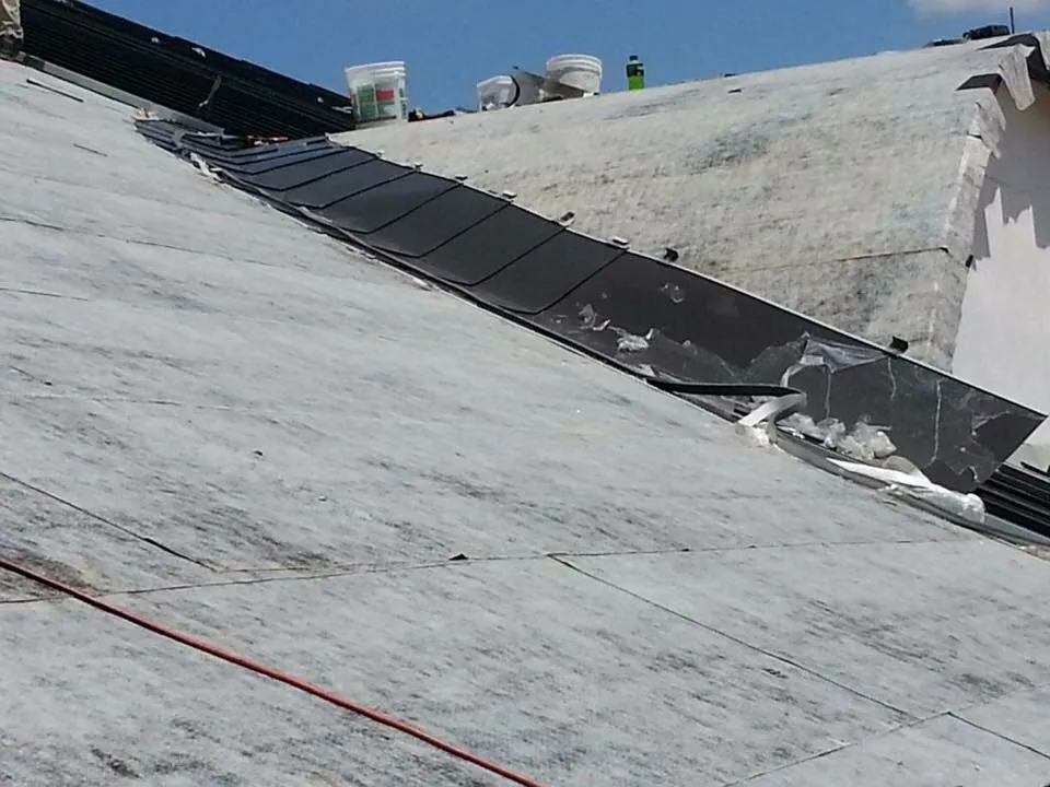 Slide of Patch Adams Roofing