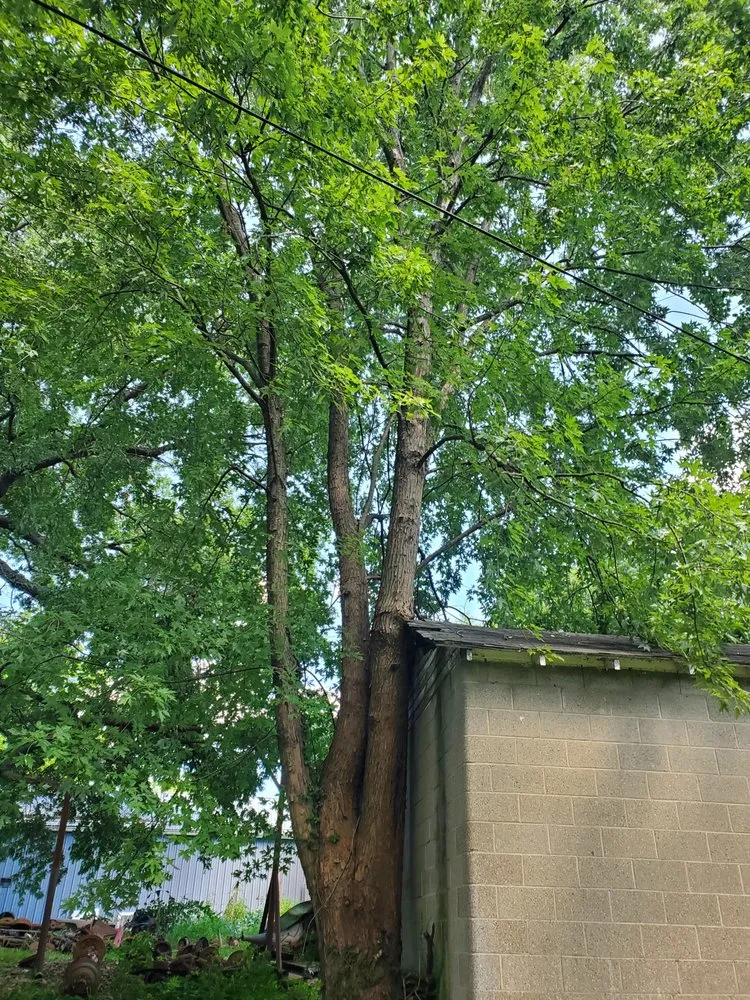 Slide of Patriot Home Services