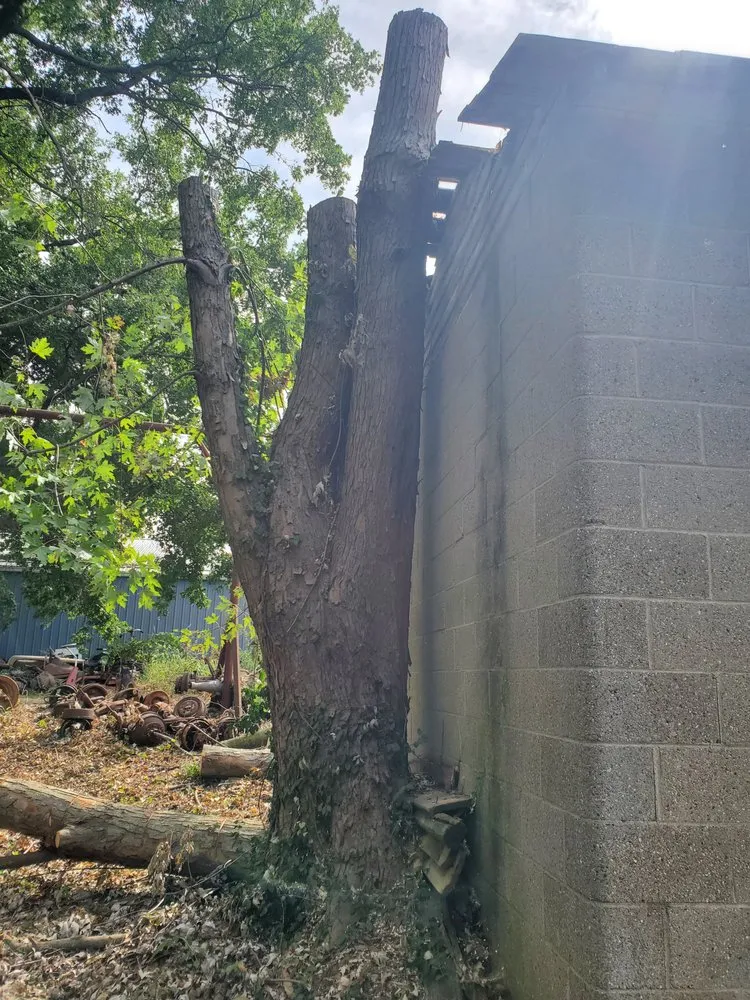 Slide of Patriot Home Services