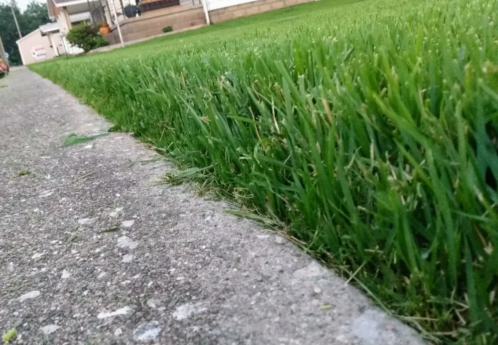 Slide of Patriot Home Services