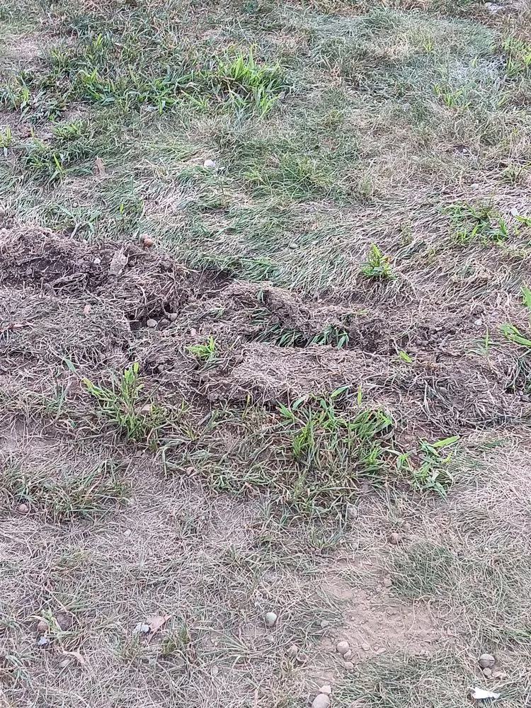 Slide of Patriot Masonry