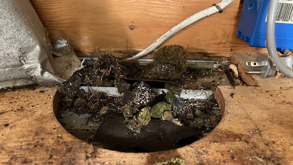 Slide of Patriot Roofing