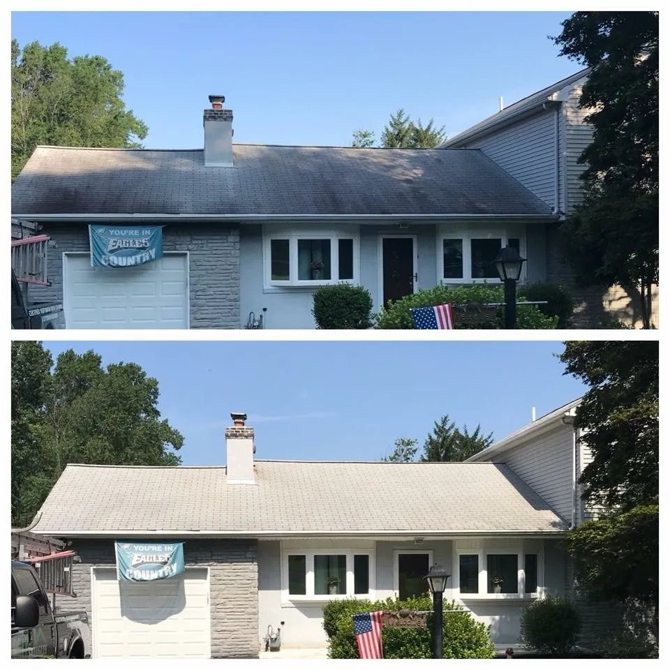 Slide of Patriot softwash