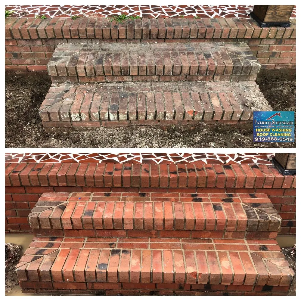 Slide of Patriot softwash