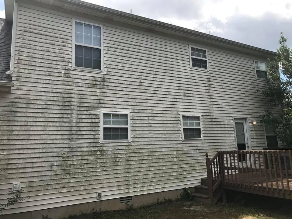 Slide of Patriot softwash