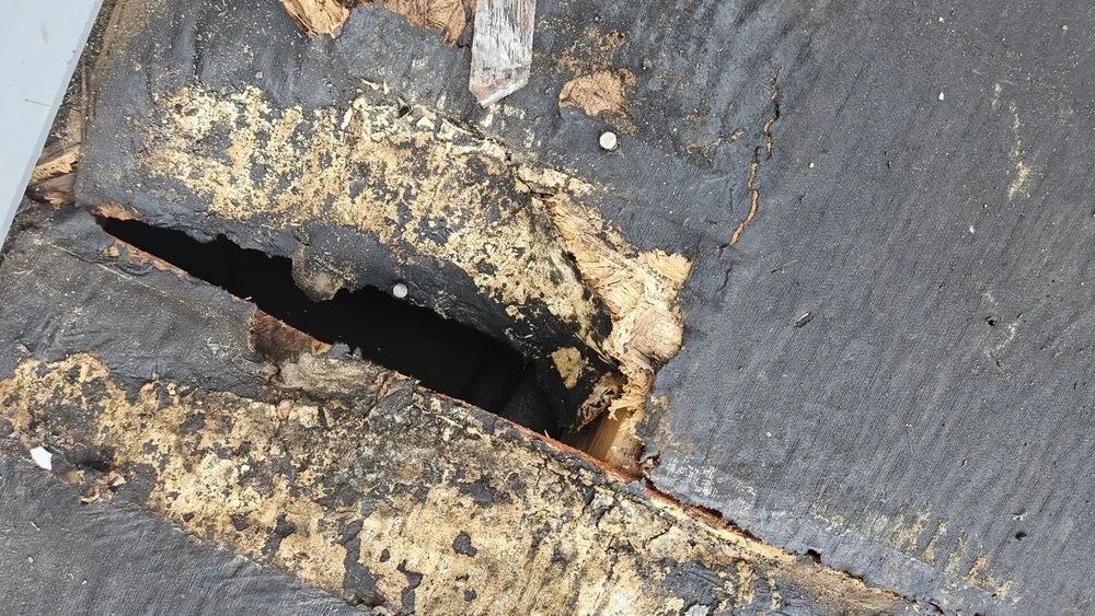 Slide of Patriot Surface