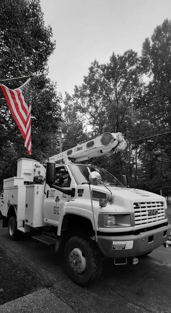 Slide of Patriot Tree Experts